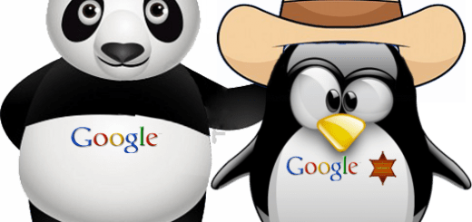 google panda ypenguin